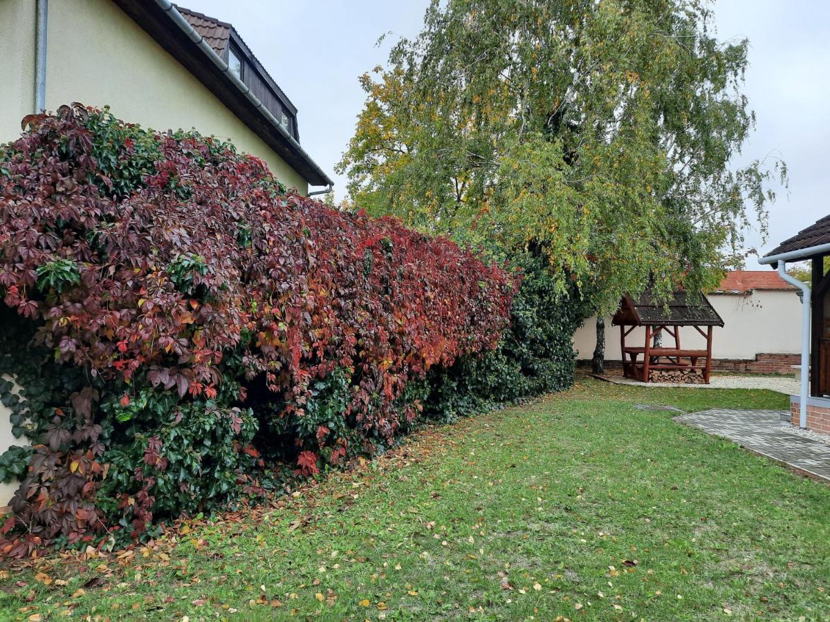 Livia Apartman Heviz Exterior photo